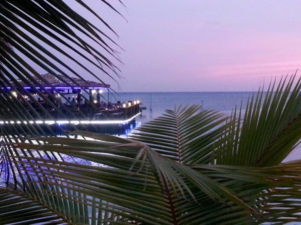Hotel Aruba Surfside Marina Oranjestad Exterior foto